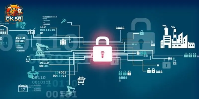 Trách nhiệm của thành viên trong chính sách bảo mật OK88